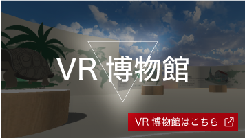 VR������ VR�����ق͂�����