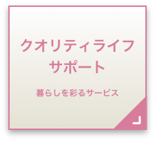 �N�I���e�B���C�t�T�|�[�g