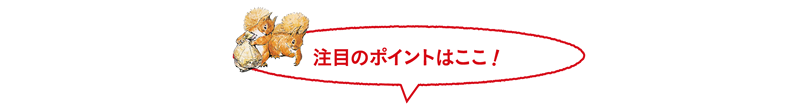 ���ڂ̃|�C���g�͂����I