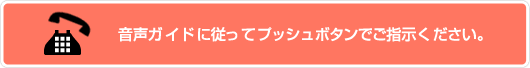 �����K�C�h�ɏ]���ăv�b�V���{�^���ł��w�����������B